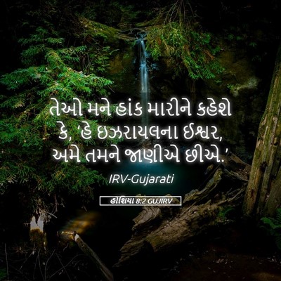Picture 05 - હોશિયા 8:2 GUJIRV - તેઓ મને હાંક - Bible Verse Picture