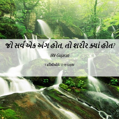 Picture 06 - 1 કરિંથીઓને 12:19 GUJIRV - જો સર્વ એક અંગ હોત, - Bible Verse Picture