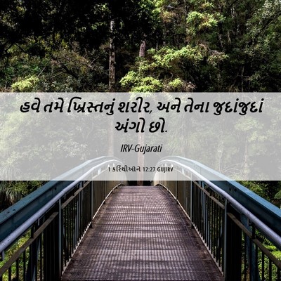 Picture 06 - 1 કરિંથીઓને 12:27 GUJIRV - હવે તમે - Bible Verse Picture