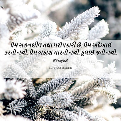 Picture 06 - 1 કરિંથીઓને 13:4 GUJIRV - પ્રેમ સહનશીલ તથા - Bible Verse Picture