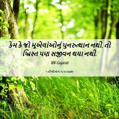 Picture 06 - 1 કરિંથીઓને 15:16 GUJIRV - કેમ કે જો - Bible Verse Picture
