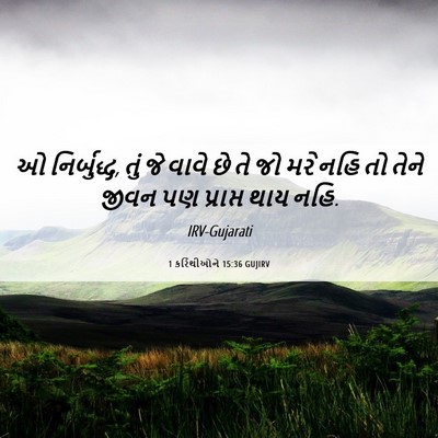 Picture 06 - 1 કરિંથીઓને 15:36 GUJIRV - ઓ નિર્બુદ્ધ, તું જે - Bible Verse Picture