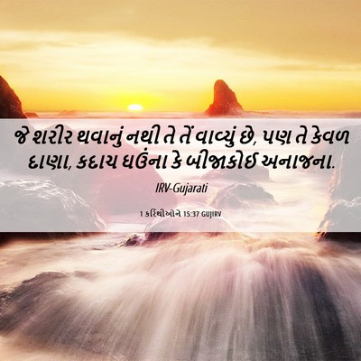 Picture 06 - 1 કરિંથીઓને 15:37 GUJIRV - જે શરીર થવાનું નથી - Bible Verse Picture