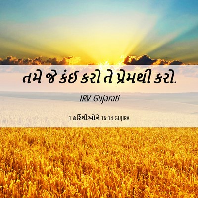 Picture 06 - 1 કરિંથીઓને 16:14 GUJIRV - તમે જે કંઈ કરો તે - Bible Verse Picture