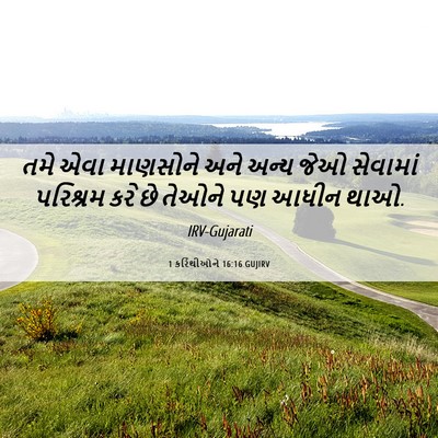 Picture 06 - 1 કરિંથીઓને 16:16 GUJIRV - તમે એવા માણસોને - Bible Verse Picture
