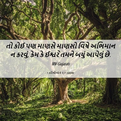 Picture 06 - 1 કરિંથીઓને 3:21 GUJIRV - તો કોઈ પણ માણસે - Bible Verse Picture