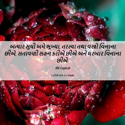 Picture 06 - 1 કરિંથીઓને 4:11 GUJIRV - અત્યાર સુધી અમે - Bible Verse Picture