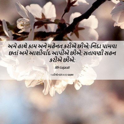 Picture 06 - 1 કરિંથીઓને 4:12 GUJIRV - અમે હાથે કામ અને - Bible Verse Picture