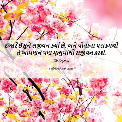 Picture 06 - 1 કરિંથીઓને 6:14 GUJIRV - ઈશ્વરે ઈસુને - Bible Verse Picture