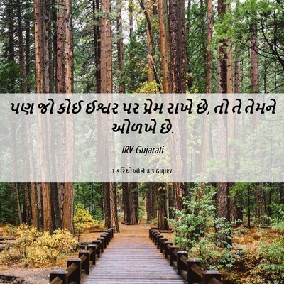 Picture 06 - 1 કરિંથીઓને 8:3 GUJIRV - પણ જો કોઈ ઈશ્વર પર - Bible Verse Picture