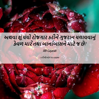 Picture 06 - 1 કરિંથીઓને 9:6 GUJIRV - અથવા શું ધંધો - Bible Verse Picture