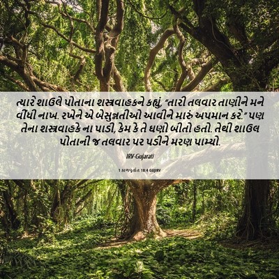 Picture 06 - 1 કાળવૃતાંત 10:4 GUJIRV - ત્યારે શાઉલે - Bible Verse Picture