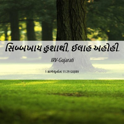 Picture 06 - 1 કાળવૃતાંત 11:29 GUJIRV - સિબ્બખાય હુશાથી, - Bible Verse Picture