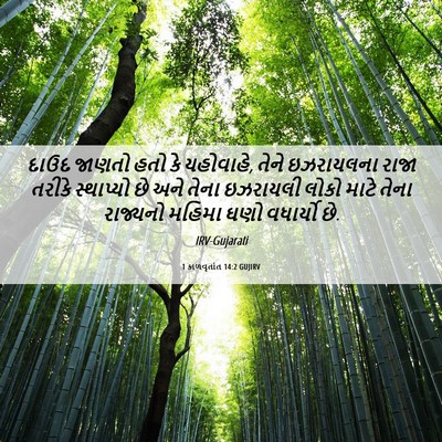 Picture 06 - 1 કાળવૃતાંત 14:2 GUJIRV - દાઉદ જાણતો હતો કે - Bible Verse Picture