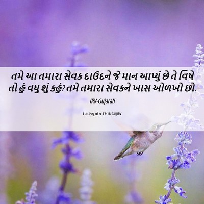 Picture 06 - 1 કાળવૃતાંત 17:18 GUJIRV - તમે આ તમારા સેવક - Bible Verse Picture