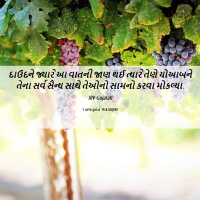 Picture 06 - 1 કાળવૃતાંત 19:8 GUJIRV - દાઉદને જ્યારે આ - Bible Verse Picture