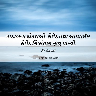 Picture 06 - 1 કાળવૃતાંત 2:30 GUJIRV - નાદાબના દીકરાઓ: - Bible Verse Picture