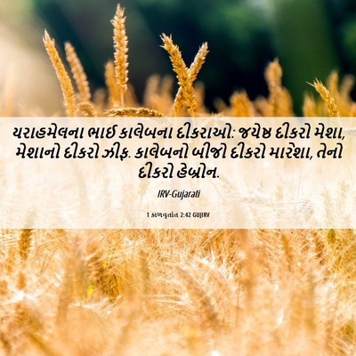 Picture 06 - 1 કાળવૃતાંત 2:42 GUJIRV - યરાહમેલના ભાઈ - Bible Verse Picture
