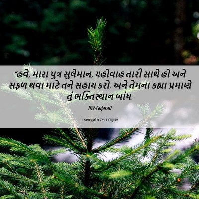 Picture 06 - 1 કાળવૃતાંત 22:11 GUJIRV - “હવે, મારા પુત્ર - Bible Verse Picture