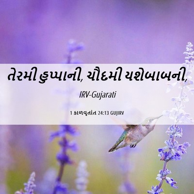 Picture 06 - 1 કાળવૃતાંત 24:13 GUJIRV - તેરમી હુપ્પાની, - Bible Verse Picture