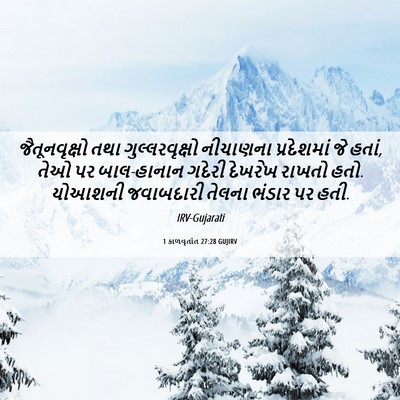 Picture 06 - 1 કાળવૃતાંત 27:28 GUJIRV - જૈતૂનવૃક્ષો તથા - Bible Verse Picture