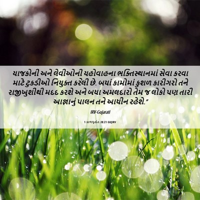 Picture 06 - 1 કાળવૃતાંત 28:21 GUJIRV - યાજકોની અને - Bible Verse Picture
