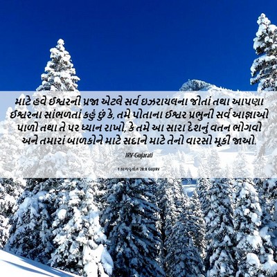 Picture 06 - 1 કાળવૃતાંત 28:8 GUJIRV - માટે હવે ઈશ્વરની - Bible Verse Picture