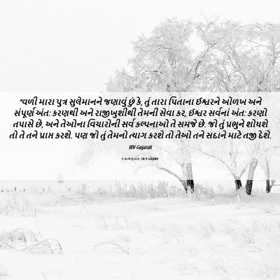 Picture 06 - 1 કાળવૃતાંત 28:9 GUJIRV - “વળી મારા પુત્ર - Bible Verse Picture