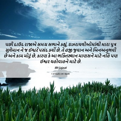 Picture 06 - 1 કાળવૃતાંત 29:1 GUJIRV - પછી દાઉદ રાજાએ - Bible Verse Picture