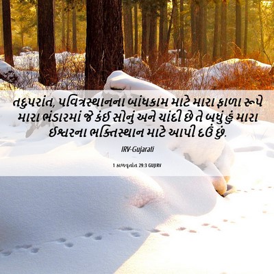 Picture 06 - 1 કાળવૃતાંત 29:3 GUJIRV - તદુપરાંત, - Bible Verse Picture