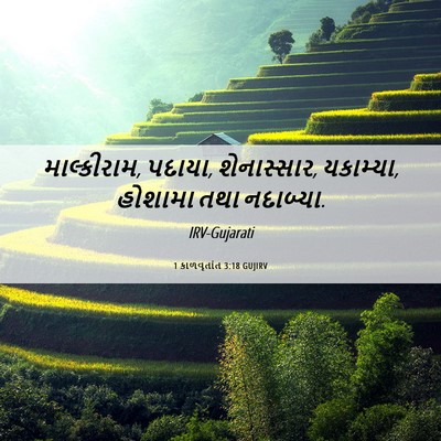 Picture 06 - 1 કાળવૃતાંત 3:18 GUJIRV - માલ્કીરામ, પદાયા, - Bible Verse Picture