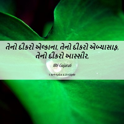 Picture 06 - 1 કાળવૃતાંત 6:23 GUJIRV - તેનો દીકરો - Bible Verse Picture