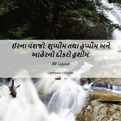 Picture 06 - 1 કાળવૃતાંત 7:12 GUJIRV - ઈરના વંશજો: - Bible Verse Picture