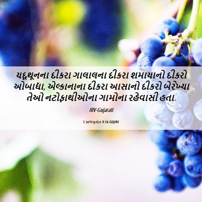Picture 06 - 1 કાળવૃતાંત 9:16 GUJIRV - યદૂથૂનના દીકરા - Bible Verse Picture