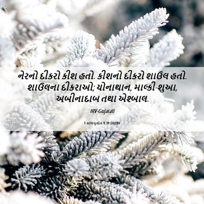 Picture 06 - 1 કાળવૃતાંત 9:39 GUJIRV - નેરનો દીકરો કીશ - Bible Verse Picture