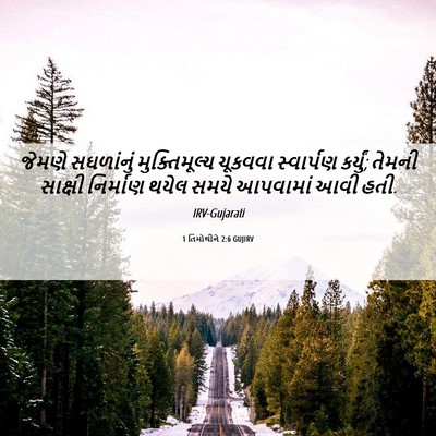 Picture 06 - 1 તિમોથીને 2:6 GUJIRV - જેમણે સઘળાંનું - Bible Verse Picture