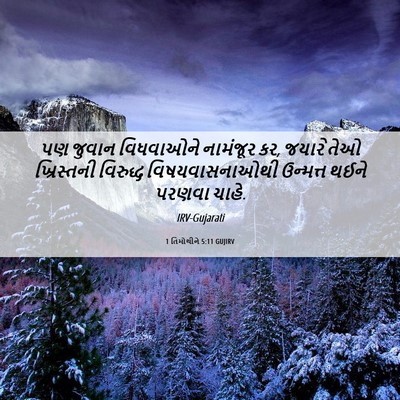 Picture 06 - 1 તિમોથીને 5:11 GUJIRV - પણ જુવાન વિધવાઓને - Bible Verse Picture