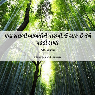 Picture 06 - 1 થેસ્સલોનિકીઓને 5:21 GUJIRV - પણ સઘળી બાબતોને - Bible Verse Picture