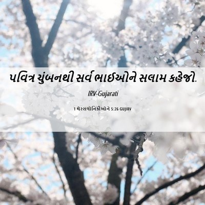 Picture 06 - 1 થેસ્સલોનિકીઓને 5:26 GUJIRV - પવિત્ર ચુંબનથી - Bible Verse Picture