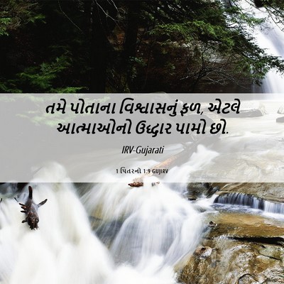 Picture 06 - 1 પિતરનો 1:9 GUJIRV - તમે પોતાના - Bible Verse Picture