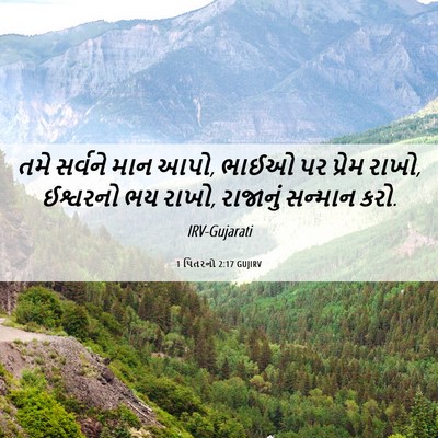 Picture 06 - 1 પિતરનો 2:17 GUJIRV - તમે સર્વને માન આપો, - Bible Verse Picture