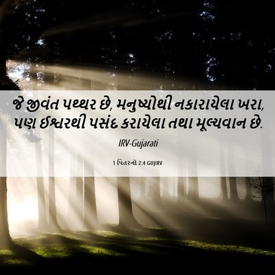 Picture 06 - 1 પિતરનો 2:4 GUJIRV - જે જીવંત પથ્થર છે, - Bible Verse Picture