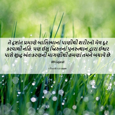 Picture 06 - 1 પિતરનો 3:21 GUJIRV - તે દ્રષ્ટાંત - Bible Verse Picture