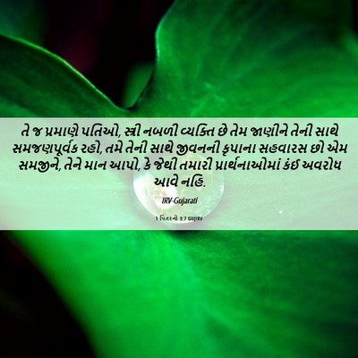 Picture 06 - 1 પિતરનો 3:7 GUJIRV - તે જ પ્રમાણે પતિઓ, - Bible Verse Picture