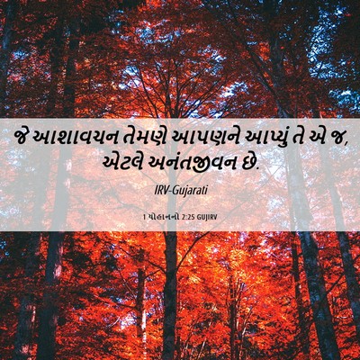 Picture 06 - 1 યોહાનનો 2:25 GUJIRV - જે આશાવચન તેમણે - Bible Verse Picture