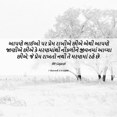 Picture 06 - 1 યોહાનનો 3:14 GUJIRV - આપણે ભાઈઓ પર પ્રેમ - Bible Verse Picture