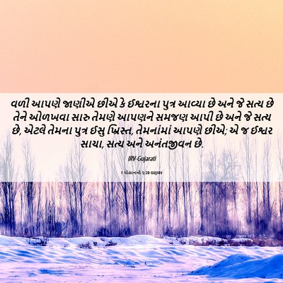 Picture 06 - 1 યોહાનનો 5:20 GUJIRV - વળી આપણે જાણીએ છીએ - Bible Verse Picture