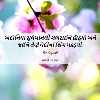 Picture 06 - 1 રાજાઓ 1:50 GUJIRV - અદોનિયા સુલેમાનથી - Bible Verse Picture