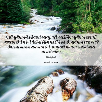 Picture 06 - 1 રાજાઓ 1:51 GUJIRV - પછી સુલેમાનને - Bible Verse Picture