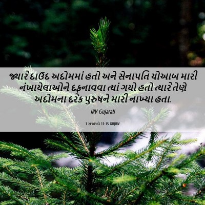 Picture 06 - 1 રાજાઓ 11:15 GUJIRV - જ્યારે દાઉદ - Bible Verse Picture